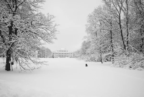 雪のおとぎ話の宮殿 ストックフォト